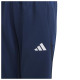 Adidas Παιδικό παντελόνι φόρμας Performance FCGB TR Pants